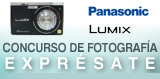 Novedades